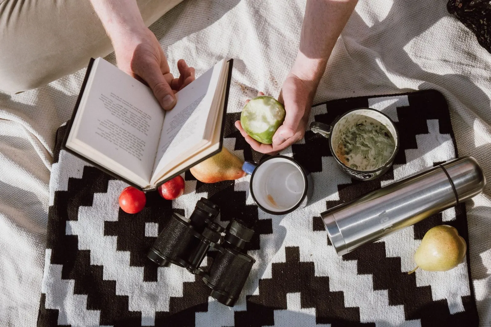 Picnic acogedor con manta y café, plan ideal entre Cáncer y Sagitario