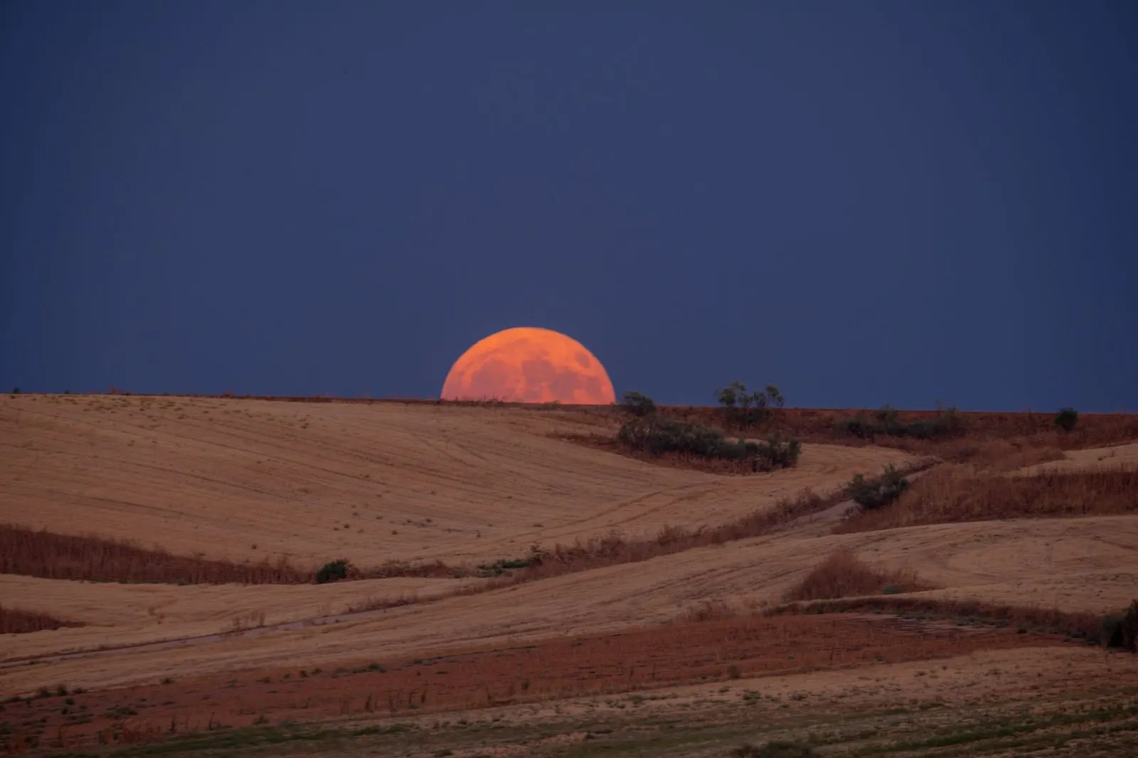 Luna llena rojiza sobre el horizonte, símbolo del fuego emocional de la luna en Aries