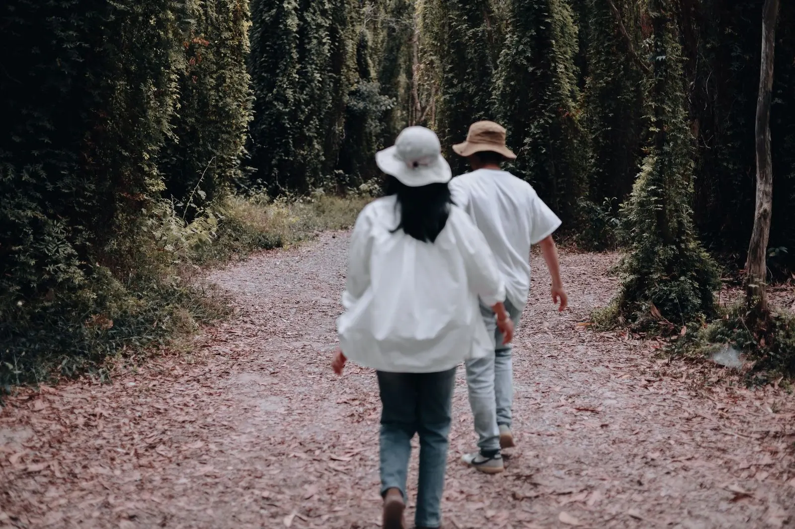 Pareja caminando por un sendero del bosque como imagen de crecimiento compartido