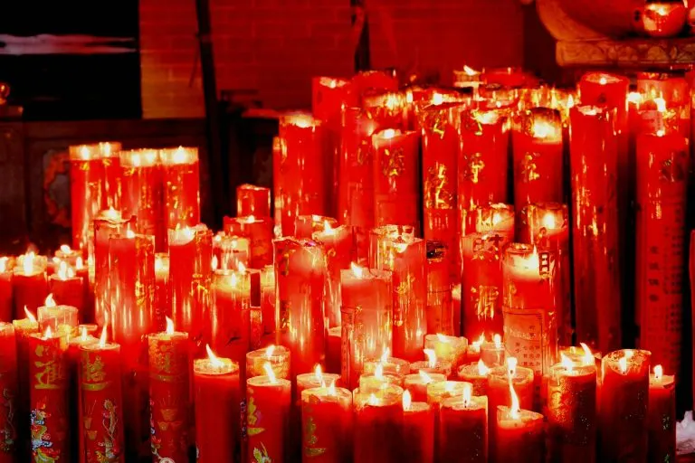 Qué significa que un perro callejero te siga Qué significa espiritualmente que un perro callejero desconocido te siga — velas encendidas