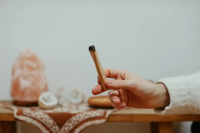 Palo santo: significado espiritual y limpieza Palo santo para limpieza espiritual del hogar