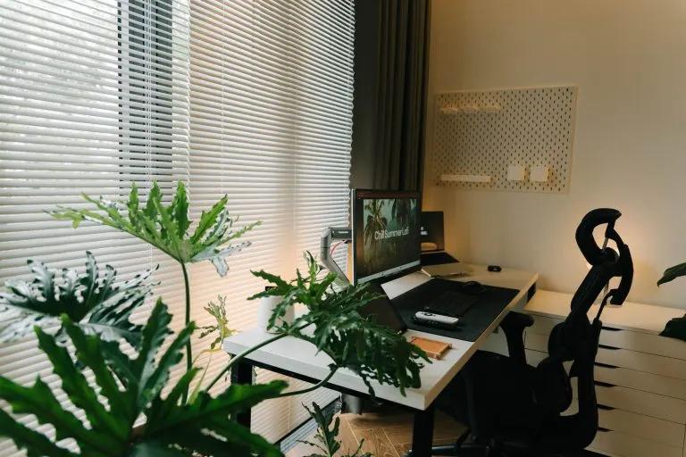 Limpieza energética de casa con luz natural y plantas