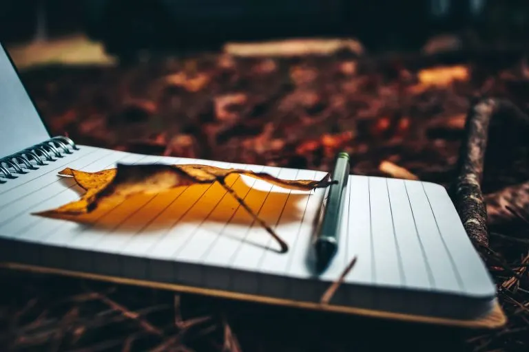 Cuaderno abierto con bolígrafo y una hoja seca como motivo estacional