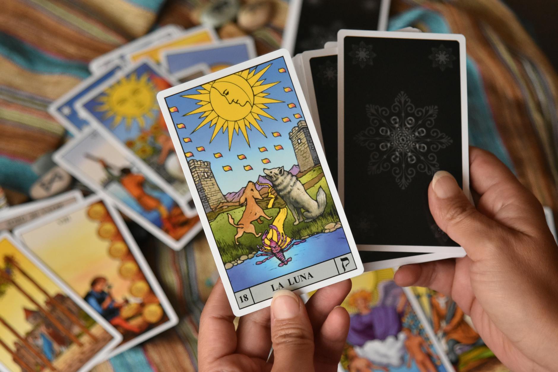 Qué significa cuando tu perro se queda mirando a la nada (¿Fantasmas?) — cartas de tarot