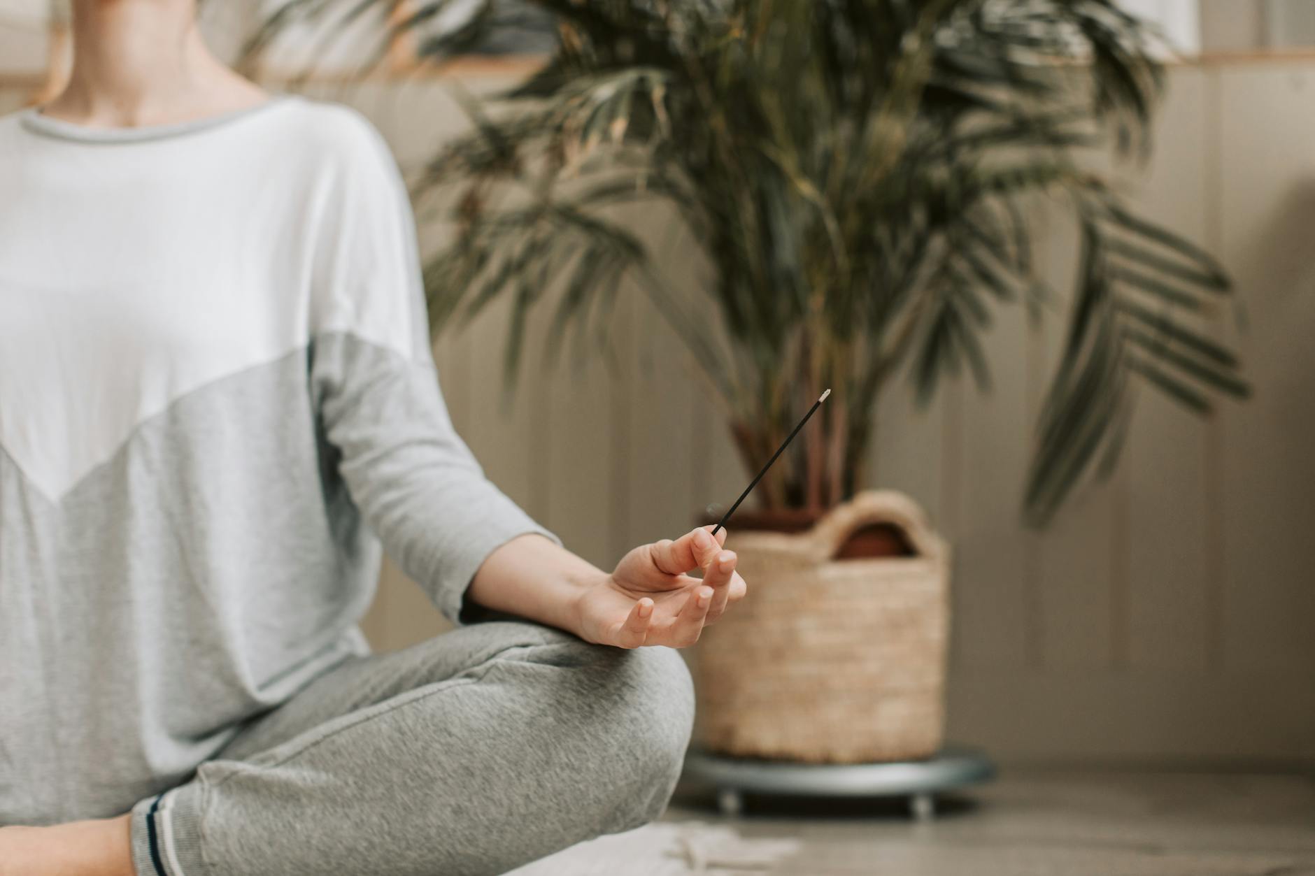 Sándalo: significado espiritual, limpieza y calma Incienso de sándalo para armonizar la casa